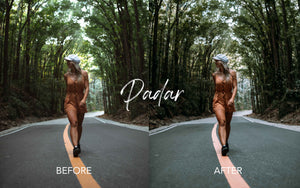 Arcadia Preset Collection- Desktop