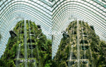 Load image into Gallery viewer, Arcadia Preset Collection- Mobile
