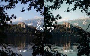 Arcadia Preset Collection- Desktop